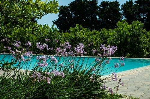 Agroturismo Chiusa Di Carlo