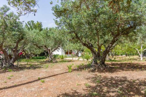 Casale La Macina Residence Scopello