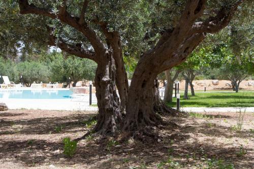 Casale La Macina Residence Scopello