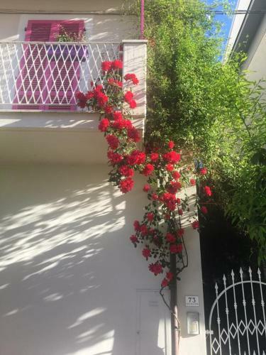Bed & Breakfast A Casa Di Lolu