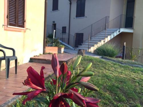 Apartamento Casa Tartuca 1