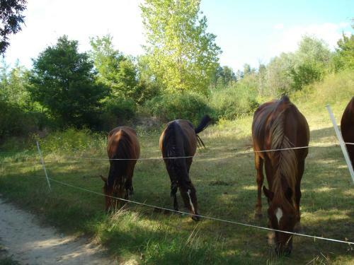 Agroturismo Casale La Fornace
