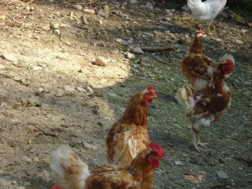 Agroturismo Casale La Fornace