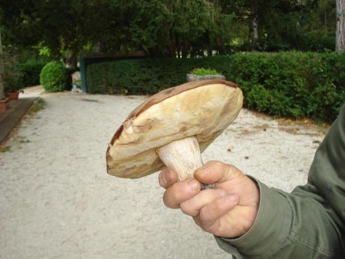 Agroturismo Casale La Fornace