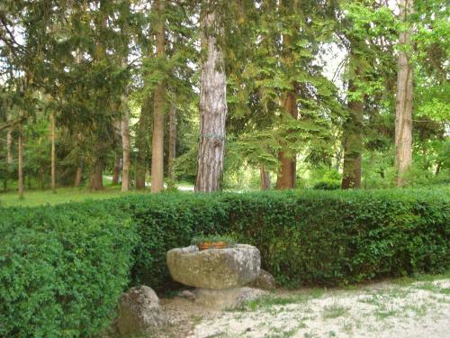 Agroturismo Casale La Fornace