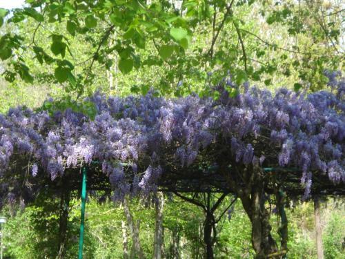 Agroturismo Casale La Fornace