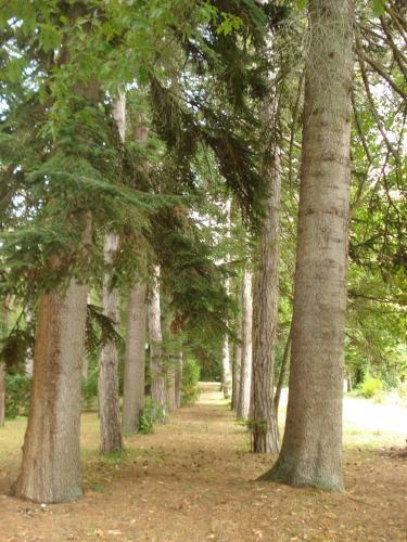 Agroturismo Casale La Fornace