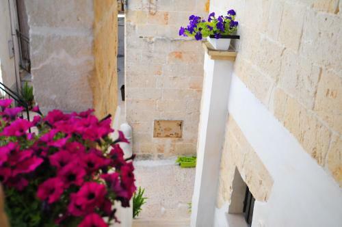 Hostal Borgodioria Resort