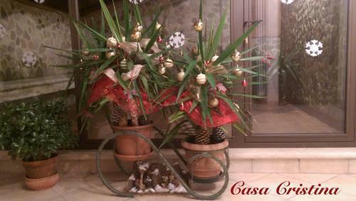 Apartamento Casa Cristina