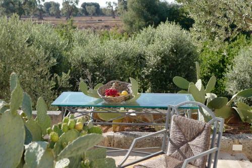 Agroturismo Masseria Lama Di Coccaro