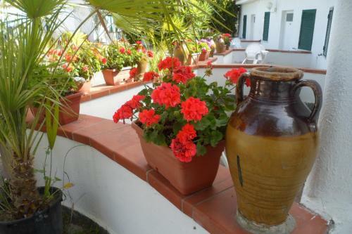 Hotel Park Calitto