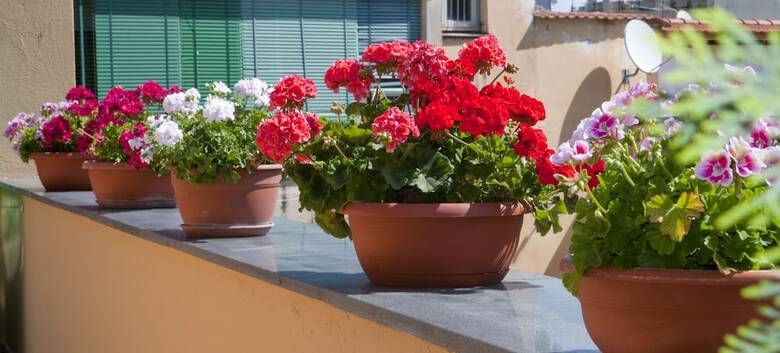 Apartamento Tetto Fiorito