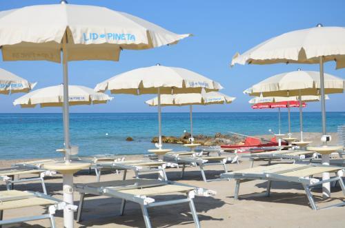 B&B Rosso Salento