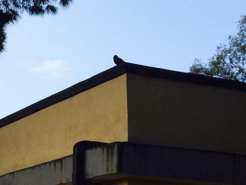 Hotel Al Togo