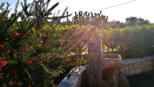 Trullo Country Relax Lumieri