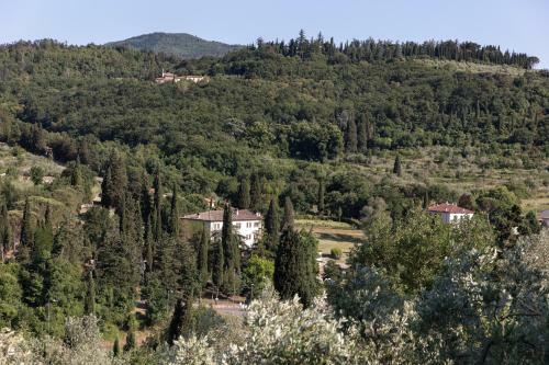 Villa D'epoca Carniani
