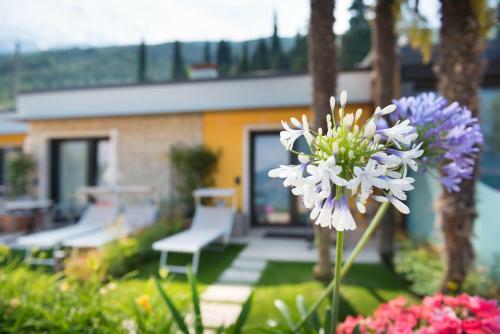 Hostal Locanda Fassa