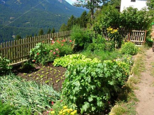 Apartamento Kerschbaumhof