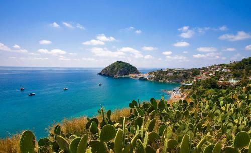 Hotel Vittorio Beach Resort