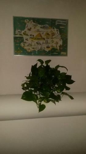 Hotel Terme Fiola