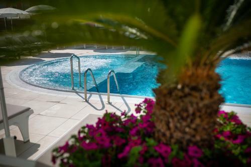 International Beach Hotel