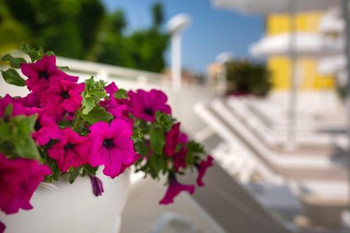 International Beach Hotel
