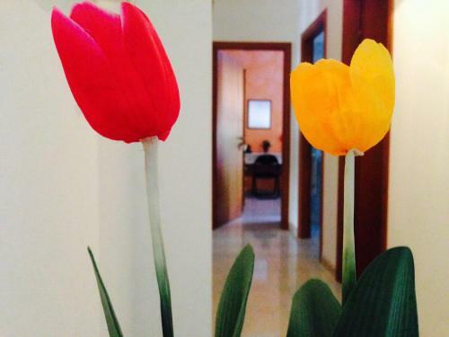 Apartamento Punta Negra
