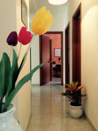 Apartamento Punta Negra