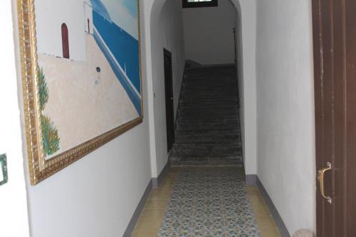 B&B Xenia