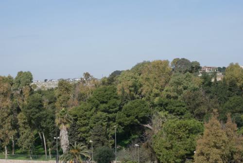 Bed & Breakfast Appartamento Astrea