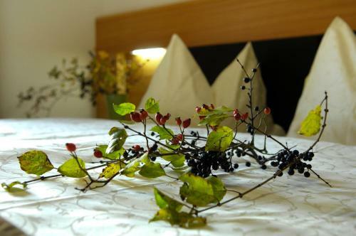 Apartamento Villa Tilia