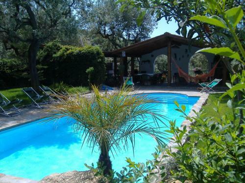 Apartamento Appartamento In Villa Con Giardino Privato E Piscina