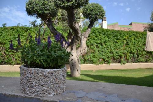 Bed & Breakfast Villa Rosanna