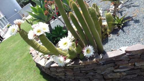 Bed & Breakfast Villa Rosanna