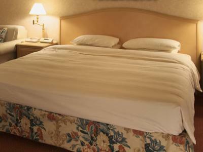 Hotel Namba Oriental