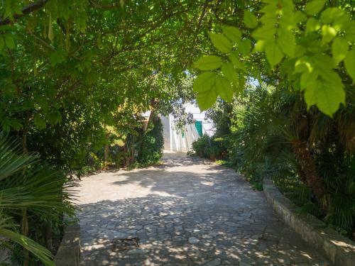 Bed & Breakfast Kalinifta - Io Parto Io Arrivo