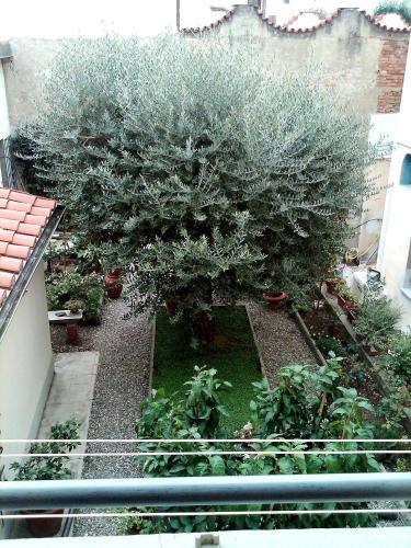 Hostal B&B Il Bacchino