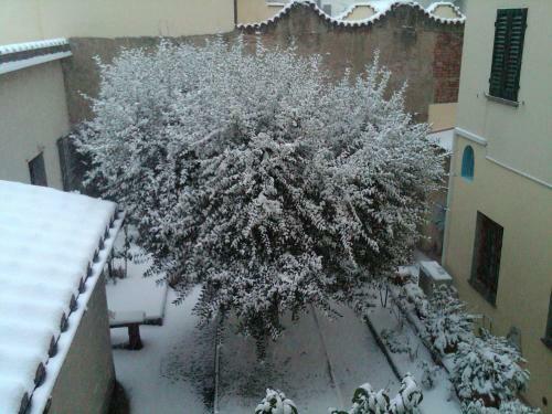 Hostal B&B Il Bacchino