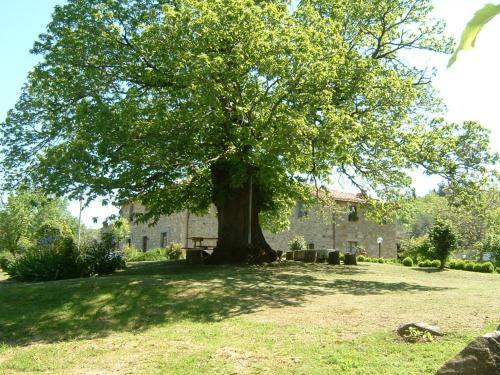 Agroturismo Antico Casale Pozzuolo