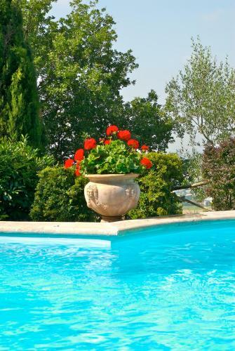 Villa Serena E Villa Serenella