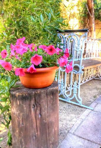 Bed & Breakfast Luna&limoni