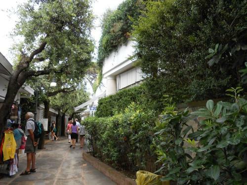 B&B Viale Axel Munthe