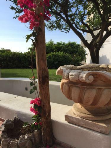 B&B Viale Axel Munthe