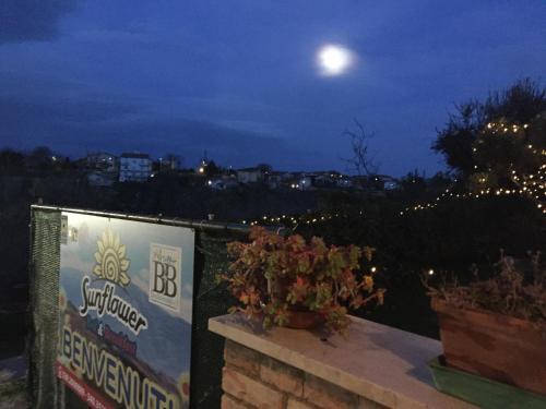 Agroturismo Sunflower