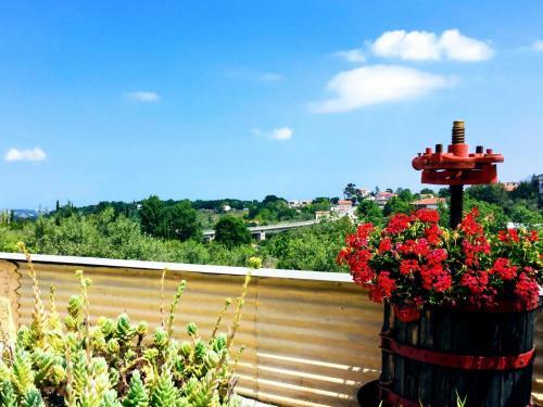 Agroturismo Sunflower