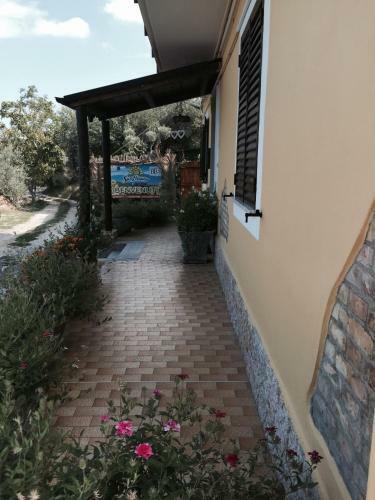 Agroturismo Sunflower
