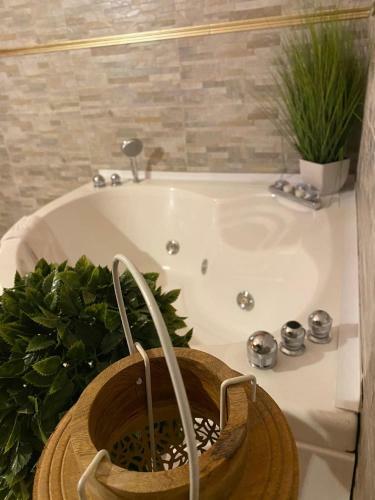 Bed & Breakfast Villa Conti