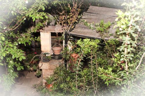 Bed & Breakfast Alchimia Tra Suoni E Colori
