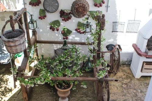 Bed & Breakfast Alchimia Tra Suoni E Colori