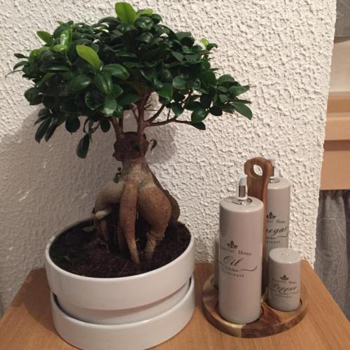 Apartamento Appartamento Annamaria